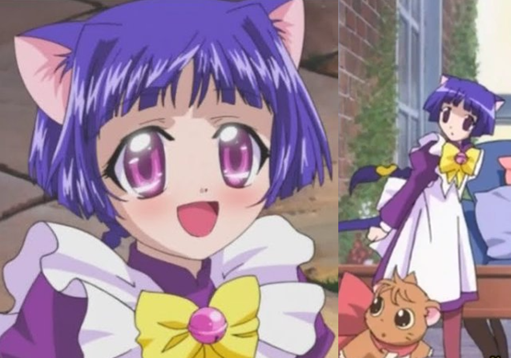 Best Cat Girl Anime Taruto