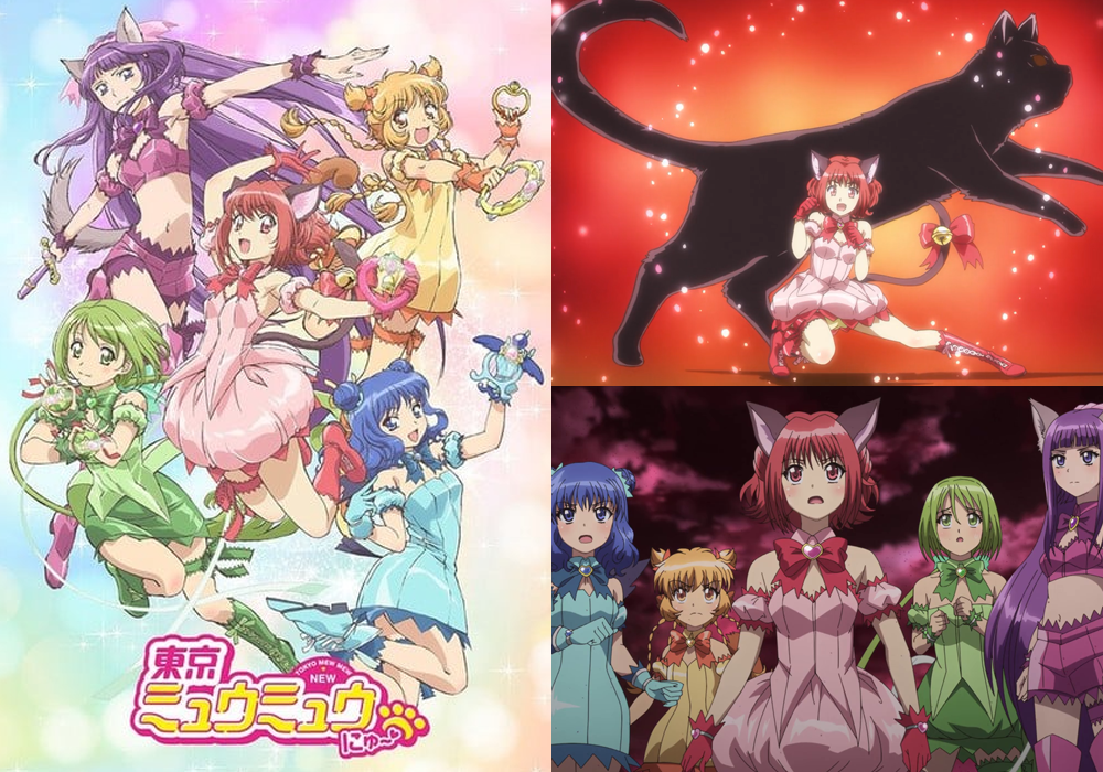 Best Cat Girl Anime Tokyo Mew Mew New