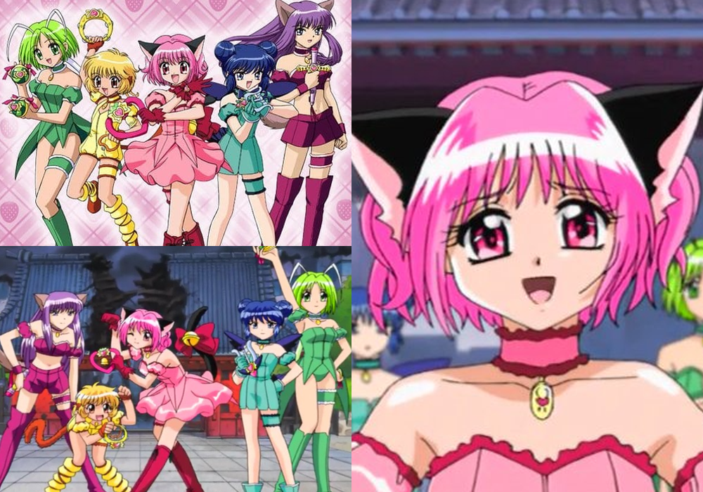 Best Cat Girl Anime Tokyo Mew Mew