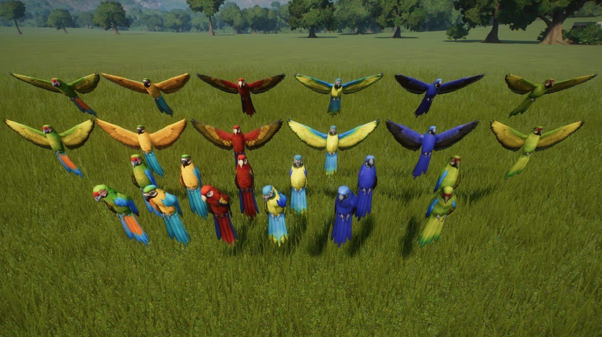 Birds Of The World Prop Pack
