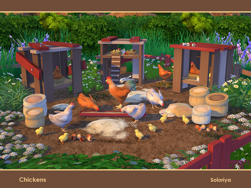 Chickens Cc Set 1