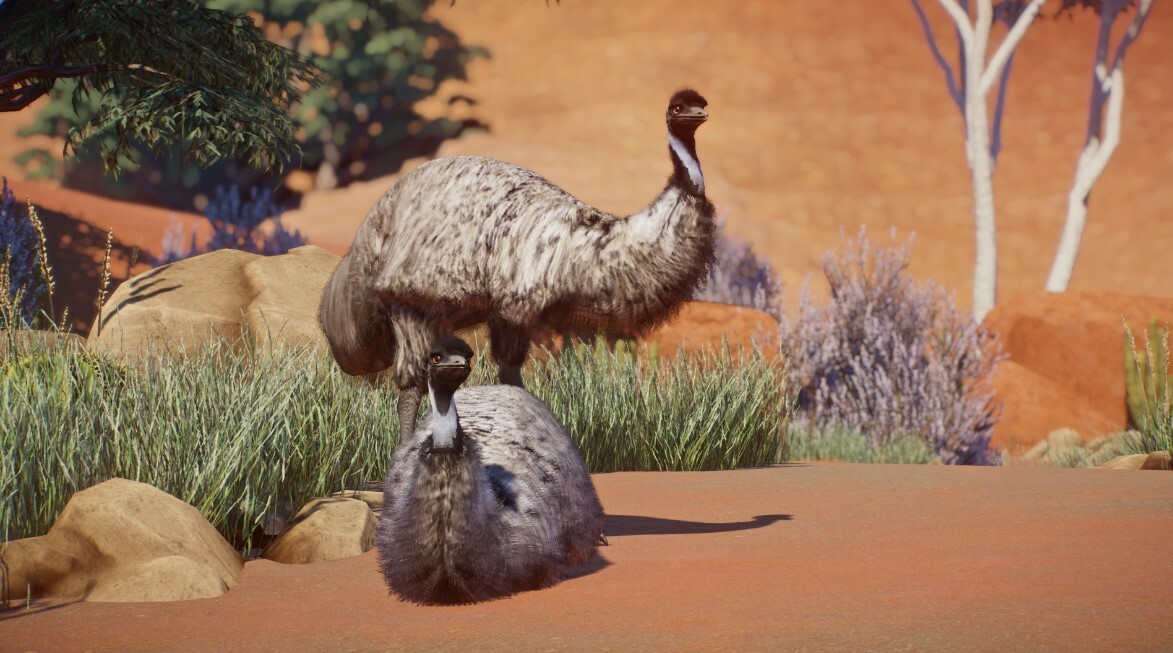 Emu