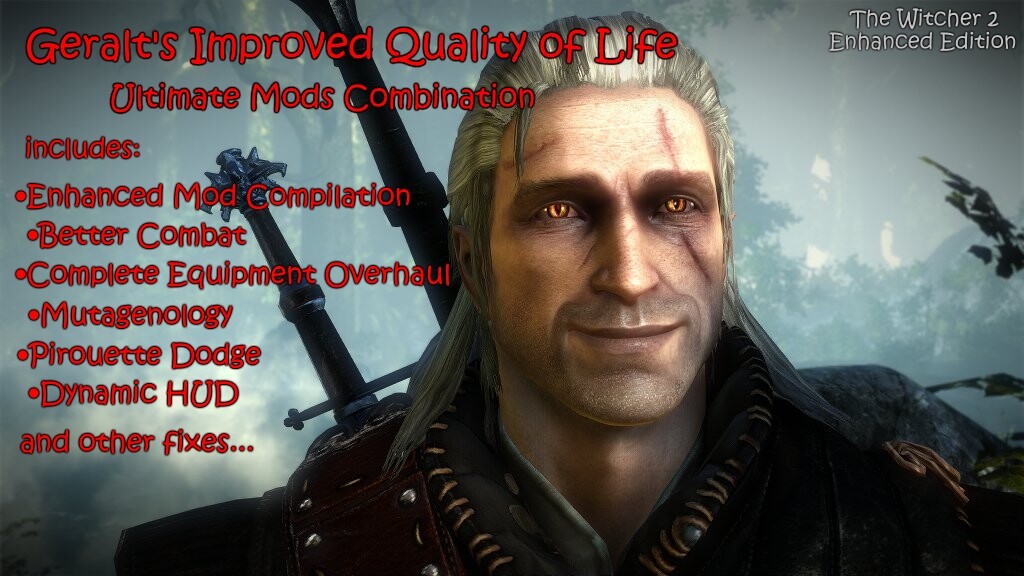 Geralt's Improved Quality Of Life
