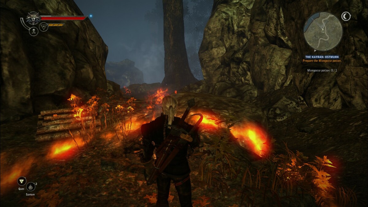 starting the Witcher 2: EE and got this graphics glitch, anybody