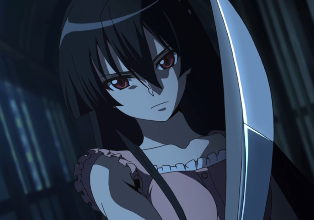 Best Assassin Anime Akame Ga Kill