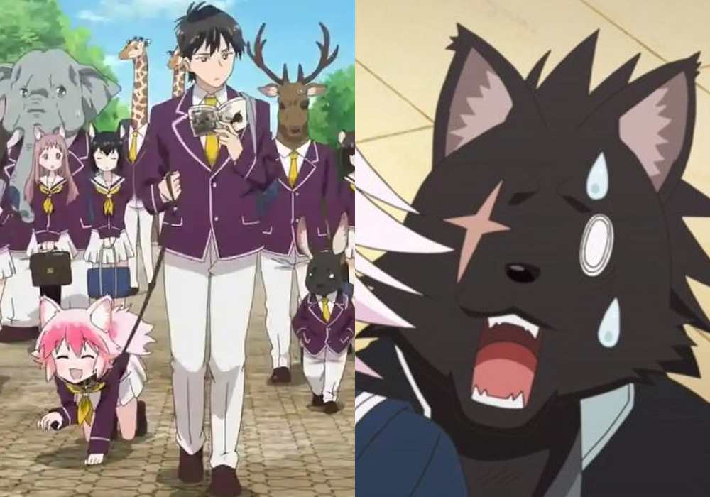Best Furry Anime Seton Academy