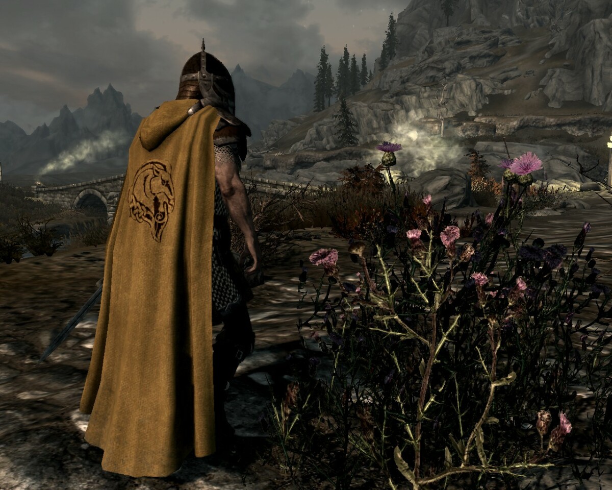 Cloaks Of Skyrim