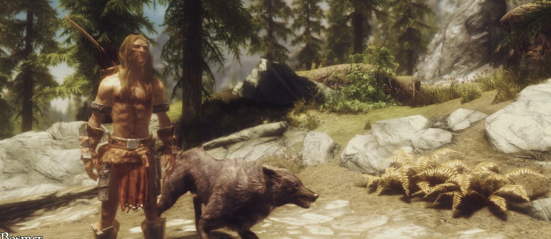 Imperious Updated Races Of Skyrim