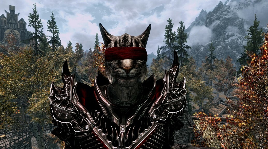 Blindfolds Of Skyrim