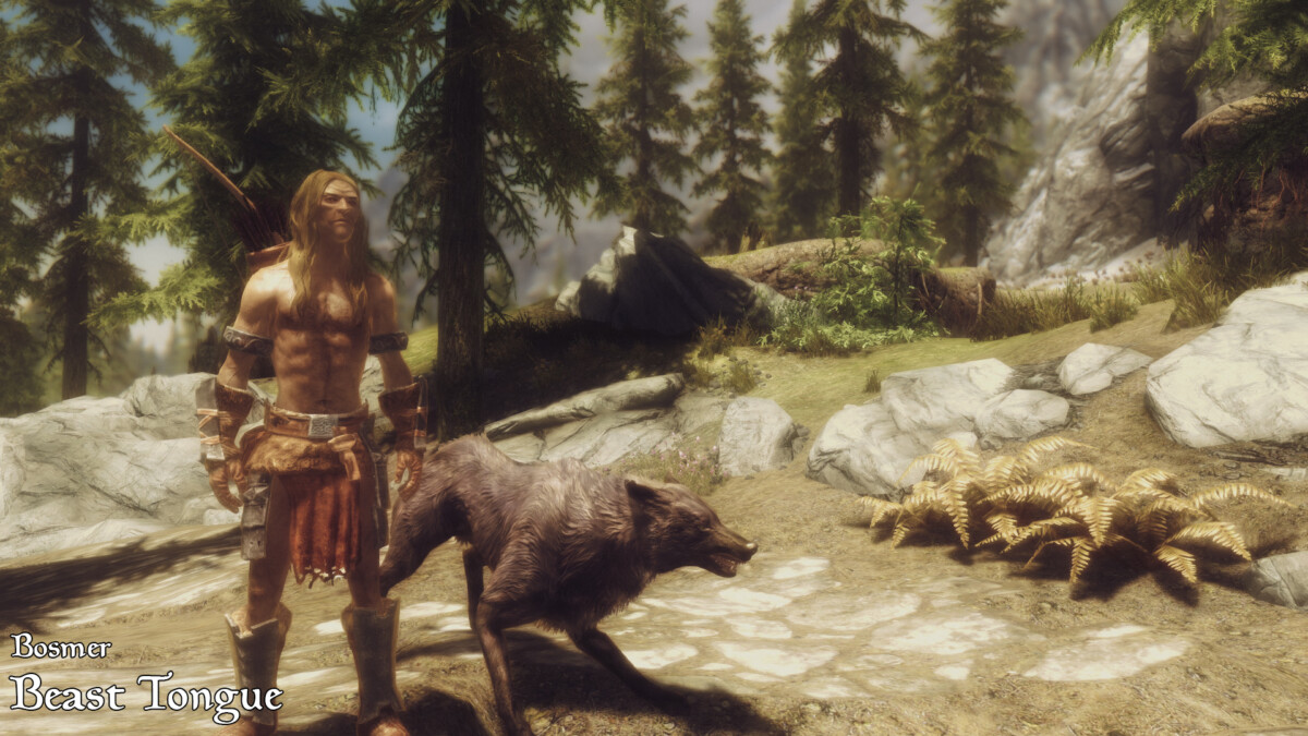 Imperious Races Of Skyrim