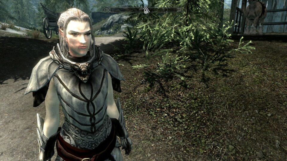 Top 10 Best Skyrim Race Mods 2024   True Snow Elf Race 960x540 