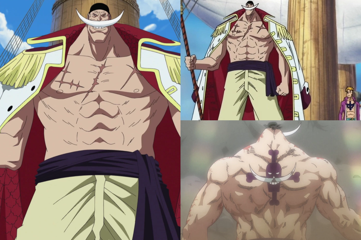 Anime Physiques Muscular Whitebeard