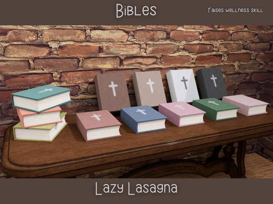 Christian Bibles
